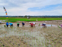 Wakil Ketua DPRD Kaltim: Peningkatan Anggaran Sektor Pertanian di APBD Perubahan 2023