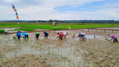 Wakil Ketua DPRD Kaltim: Peningkatan Anggaran Sektor Pertanian di APBD Perubahan 2023
