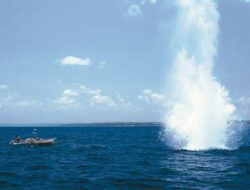 M Udin Desak Pemerintah untuk Bertindak Tegas terhadap Destructive Fishing